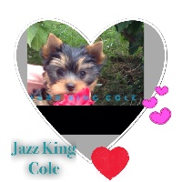 Jazz King Cole